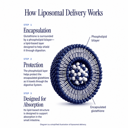 Sielvane Liposomal Glutathione